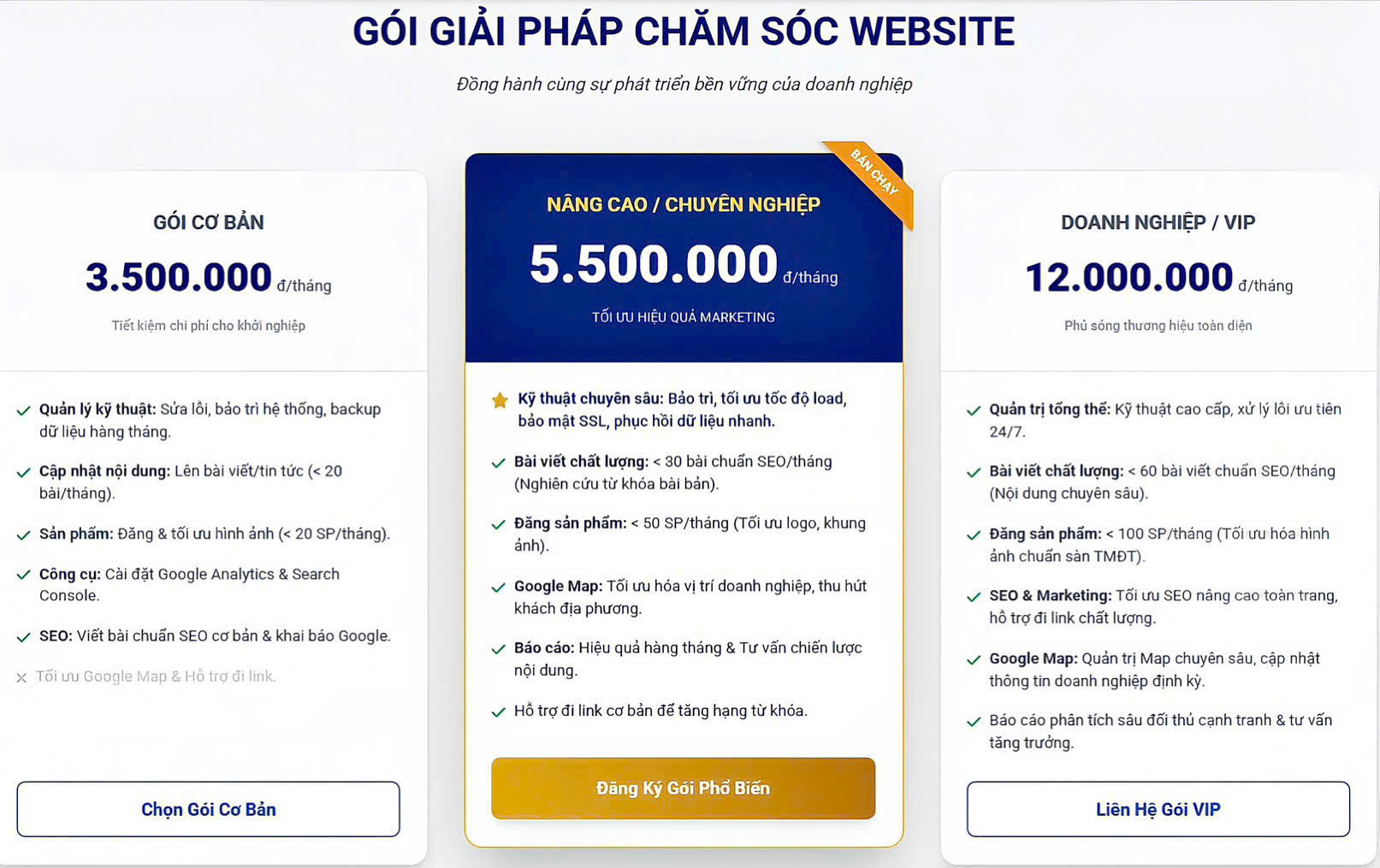 sự khác biệt khi lựa chọn chăm sóc website tại truecoreapp.vn